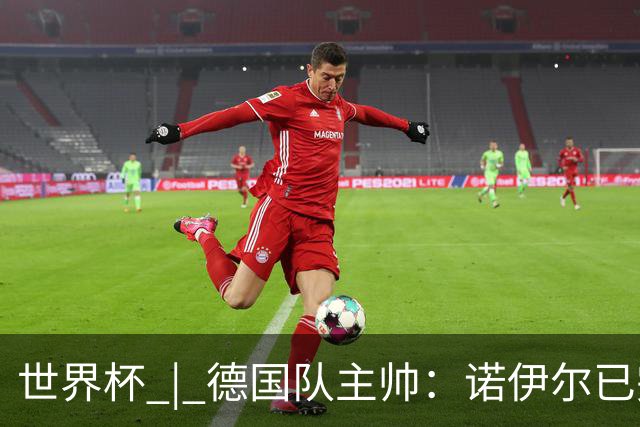 世界杯 | 德国队主帅：诺伊尔已完全康复
